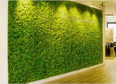 a large green wall with plants growing on it's sides in an office building