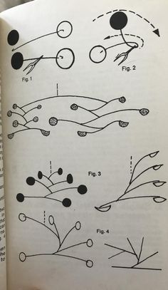 an open book with some diagrams on the page and in it's center is a diagram of plants