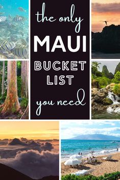 the only mau bucket list you need to see in this post - it - yourself guide