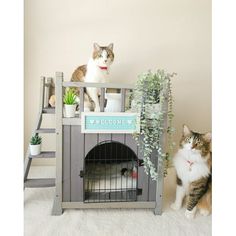 two cats sitting next to each other in front of a dog house with a cat on top