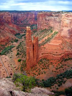 an aerial view of canyons and cliffs in the desert, with trees on each side