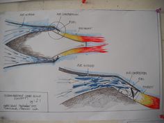 two drawings of different parts of an animal's eye and its structure are shown