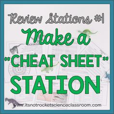 the text reads, review stations make a neat sheet station with pictures of animals and bats