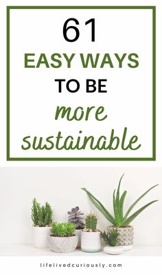 succulent plants with text overlay that reads 61 easy ways to be more suitable