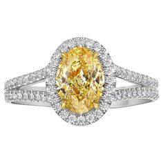 Elegant ring with a strong Fancy Intense Yellow Oval in a gorgeous split shank halo design 1.47 Carat GIA Fancy Intense Yellow Oval SI1 Clarity Designed with a micro pave halo & split shank Surrounded with 0.36 Carats of White Diamonds Handmade in NYC Set in Platinum 0.36ct 100% eye clean Making Extraordinary Attainable with Rare Colors Oval Diamond Ring, Halo Design, Colorful Jewelry, Split Shank, Elegant Ring, Dream Jewelry, Oval Diamond, Micro Pave, Cocktail Rings