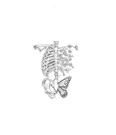 a drawing of a skeleton with flowers and a butterfly on it's back side