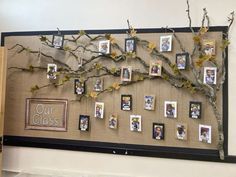 a bulletin board with pictures and branches on it