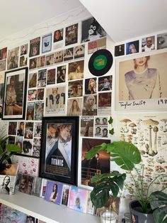 a wall covered with posters and pictures next to a potted plant on top of a table