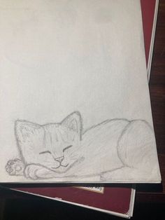 a pencil drawing of a cat laying on top of a table next to some papers