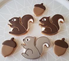 cookies decorated with chocolate and white icing depicting squirrels, squirrels and acorns