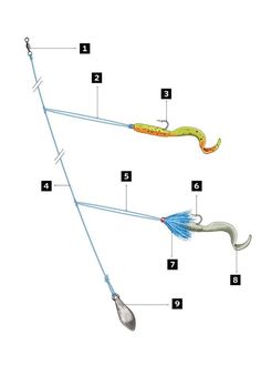 an image of fishing lures labeled in english