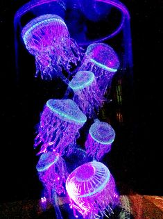 some jellyfish are glowing in the dark