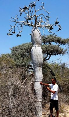 a man standing next to a tall tree with birds on it's head and arms