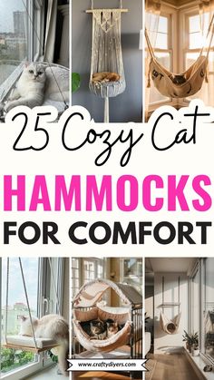 25 cozy cat hammocks for comfort in the living room, bedroom or office