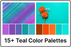 the color scheme for teal and purple is shown with orange daisies on it