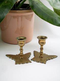 two brass candlesticks sitting next to a potted plant