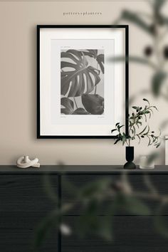 a black and white photo hanging on the wall next to a dresser with a plant in it