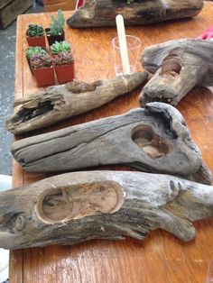 several pieces of driftwood sitting on top of a wooden table