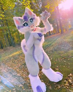 a white and purple cat standing on its hind legs in the grass next to leaves