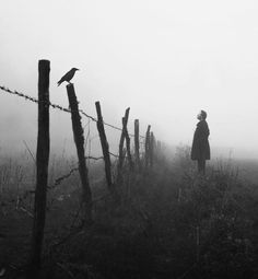 a person standing next to a fence in the fog