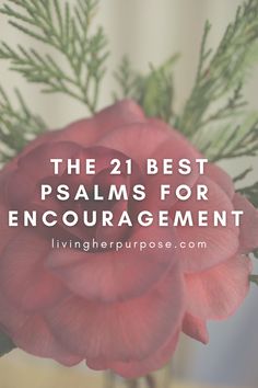 a pink flower in a vase with the words, the 21 best salms for encouragement