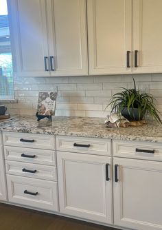 a kitchen with white cabinets and a marble counter top that has a potted plant on it