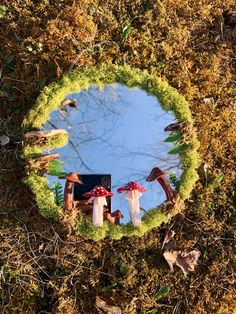 a round mirror sitting on top of a grass covered ground next to trees and leaves