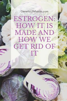 Estrogen dominance, too much estrogen, not enough estrogen metabolism, and cancer risk all can have a genetic basis. Learn how your genes influence estrogen. Estrogen Metabolism, Boiled Egg Diet, Baking Soda Uses, Egg Diet