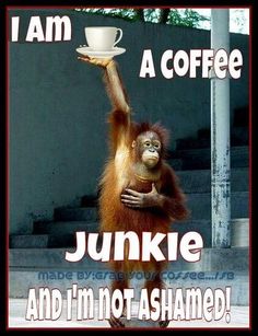 an orangutan holding a coffee cup in its hand with the caption, i am a coffee junk junk junk