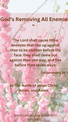 pink flowers with the words god's removing all enemies