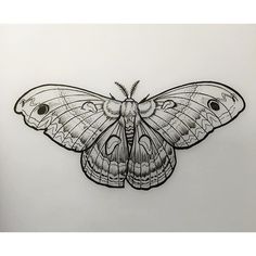 a black and white drawing of a moth