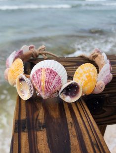 Women's adjustable scallop and moon shell hemp crown, perfect for any mermaid! Shells are naturally colored making each crown completely unique and one of a kind. Photos above are a representation of what you will be receiving since each crown is completely custom. all shells are hand selected from world famous Siesta Key beach, coated in clear gloss, and embellished with rhinestones. *No marine life is ever harmed in the making of my items* thank you for supporting my small business! Shell Headband, Shell Crown, Shell Crowns, Coconut Dream, Siesta Key Beach, Forest Elf, Shell Decorations, Mermaid Crown, Siesta Key