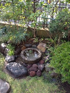 a small pond surrounded by rocks and plants