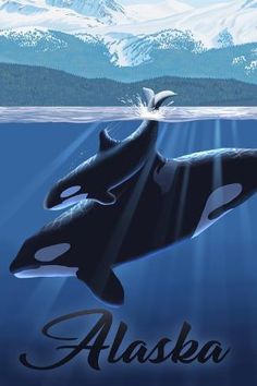 an orca swimming in the ocean with mountains in the background