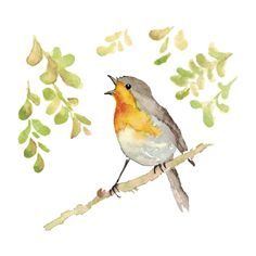 a watercolor painting of a bird sitting on a branch