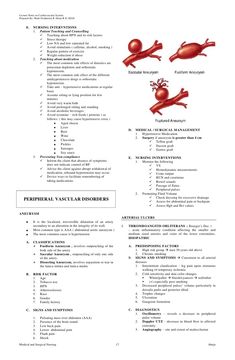 a red and white paper with an image of the human body in different stages of development