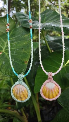 Seed beaded necklace with Hawaiian sunrise shell.  These necklaces come with a lobster claw and Link chain for adjusting. Ocean-inspired Shell-shaped Beaded Necklaces, Ocean-inspired Shell-shaped Beaded Necklace As Gift, Unique Shell-shaped Beaded Necklace Gift, Ocean-inspired Shell-shaped Beaded Necklace For Gift, Unique Beaded Shell-shaped Necklace, Mermaid Jewelry, Blue Pendant, Shell Jewelry, Seed Bead Necklace