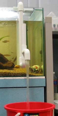 a red bucket filled with water next to a fish tank