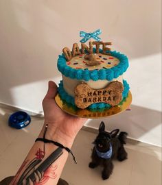 a person holding up a cake in front of a small dog on the other side