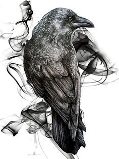 The Expandables, Rabe Tattoo, Crows Drawing, Crow Tattoo Design, Kunst Tattoos, Crow Tattoo, Crow Art, Raven Tattoo, Raven Art