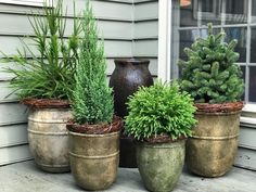 four potted plants are sitting on the porch