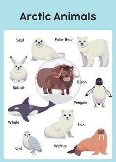 the arctic animals and their names