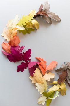 colorful leaves are arranged on a white surface