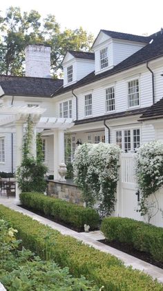 a row of white houses with lots of plants growing on the front and side of them