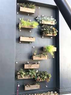 a wall mounted planter filled with lots of plants