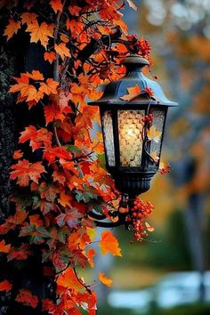 an old fashioned street light hanging from a tree with autumn leaves on it's branches