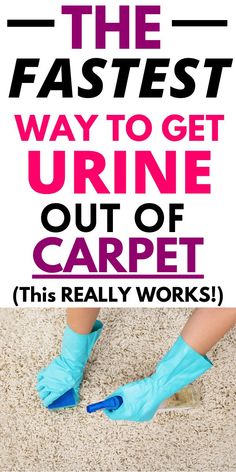 the fastest way to get urine out of carpet is with these really work's