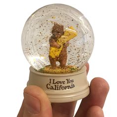 a hand holding a snow globe with a teddy bear in it and i love you california written on the inside