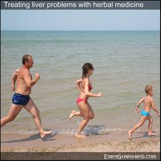 Essential Oil For Liver, Liver Herbs, Baking Soda Bath, Remedies For Nausea, Liver Function, Nerve Pain Relief, Milk Thistle, The Liver, Diet Food List