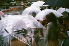 several people with umbrellas standing in the rain